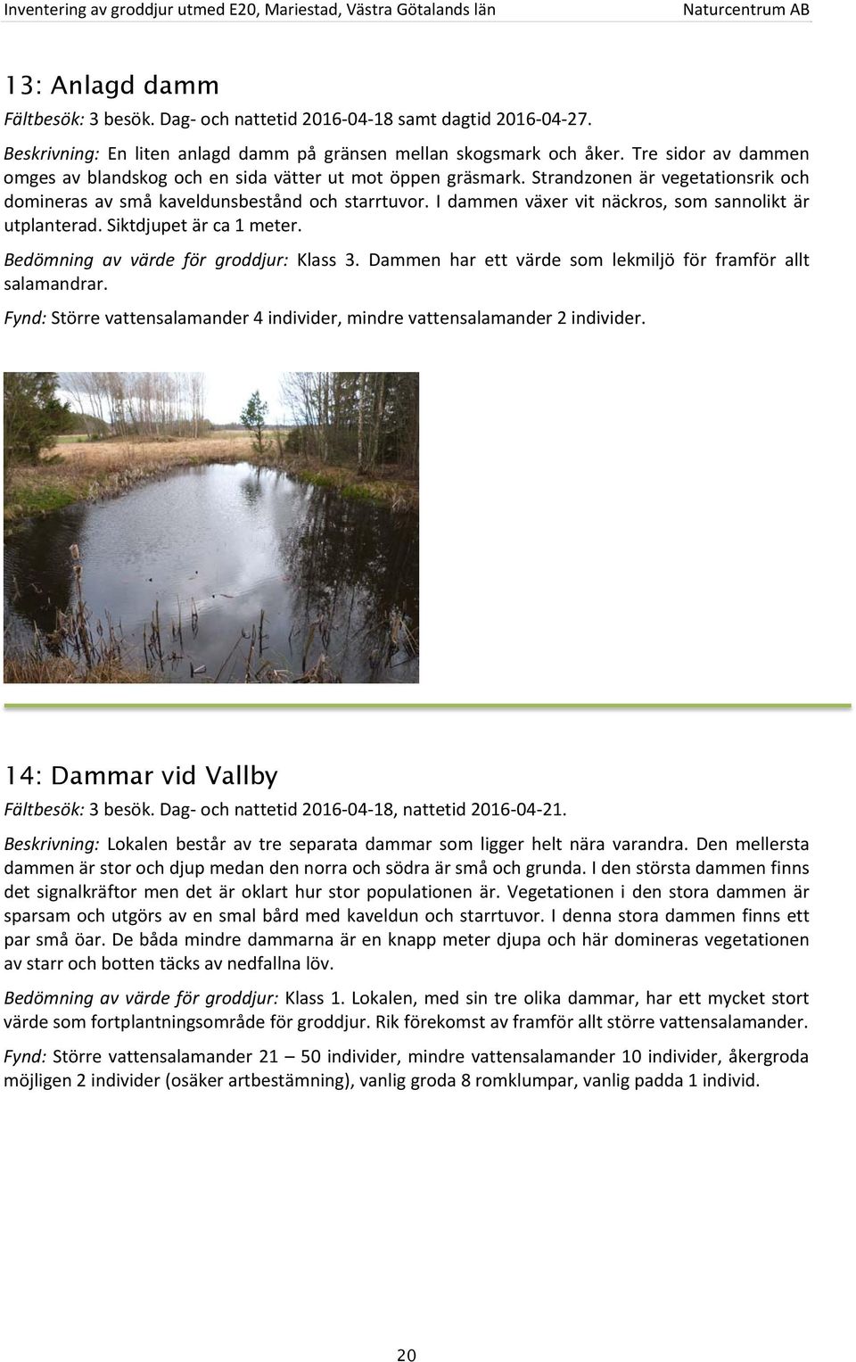 I dammen växer vit näckros, som sannolikt är utplanterad. Siktdjupet är ca 1 meter. Bedömning av värde för groddjur: Klass 3. Dammen har ett värde som lekmiljö för framför allt salamandrar.