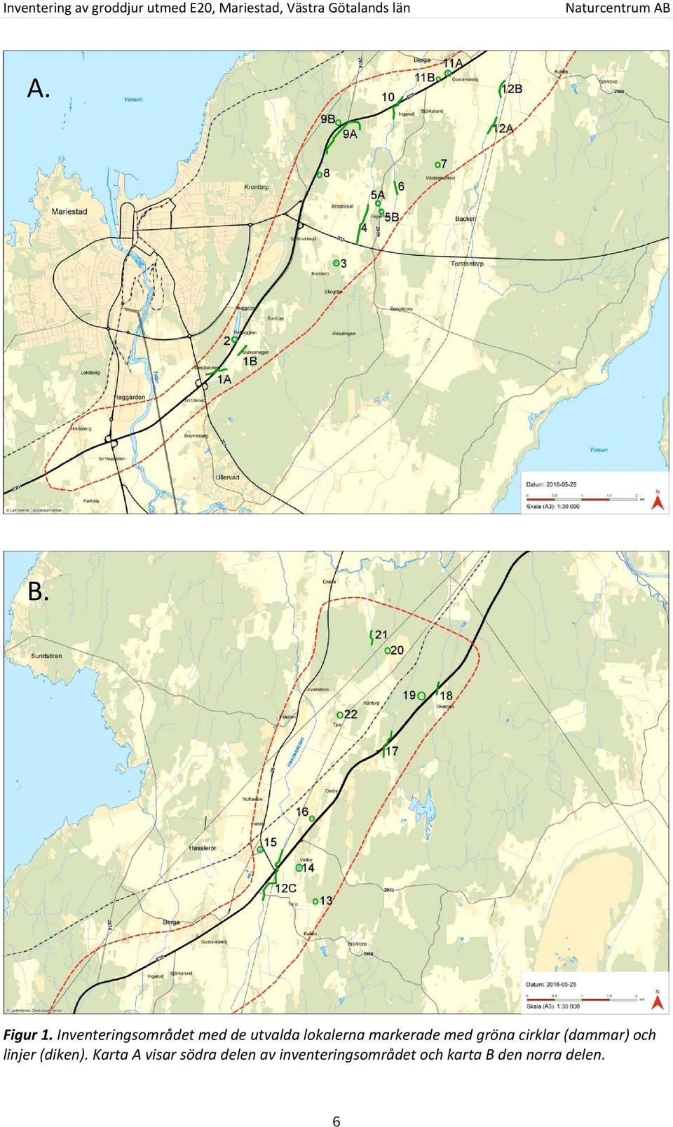 markerade med gröna cirklar (dammar) och linjer