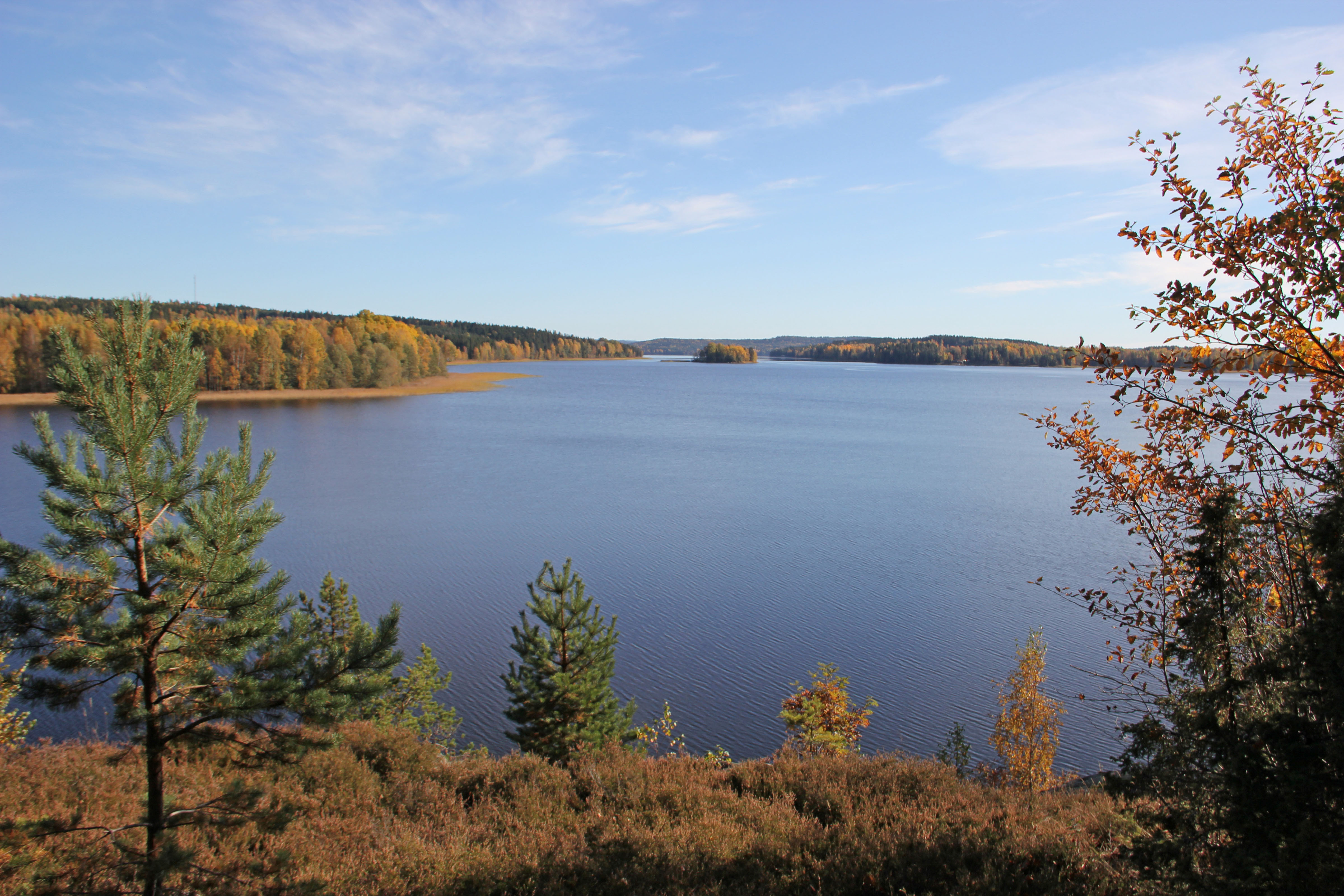 Folkhälsorådets