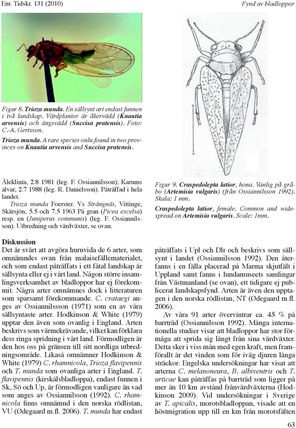 5 1963 På gran (Picea excelsa) resp. en (Juniperus communis) (leg. F. Ossiannilsson).