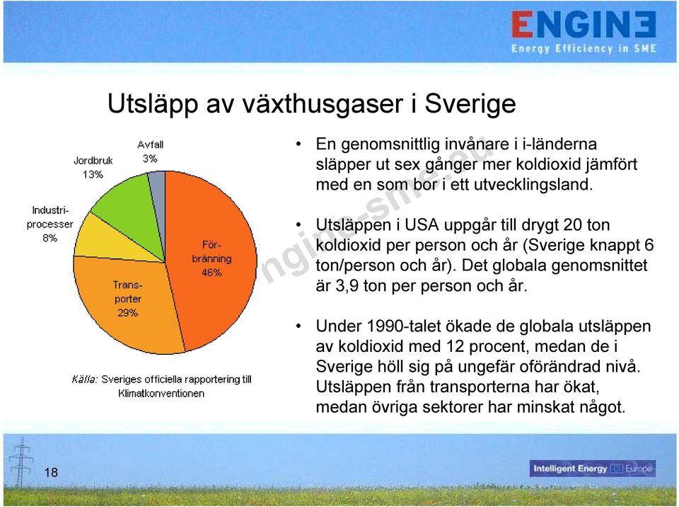 Det globala genomsnittet är 3,9 ton per person och år.