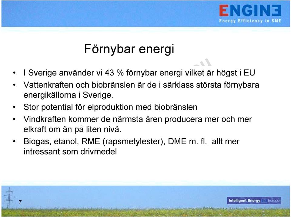 Stor potential för elproduktion med biobränslen Vindkraften kommer de närmsta åren producera mer