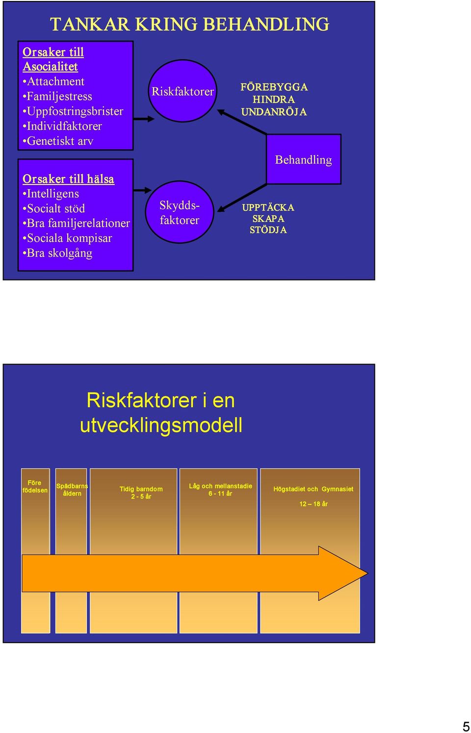 Riskfaktorer Skyddsfaktorer FÖREBYGGA HINDRA UNDANRÖJA UPPTÄCKA SKAPA STÖDJA Behandling Riskfaktorer i en