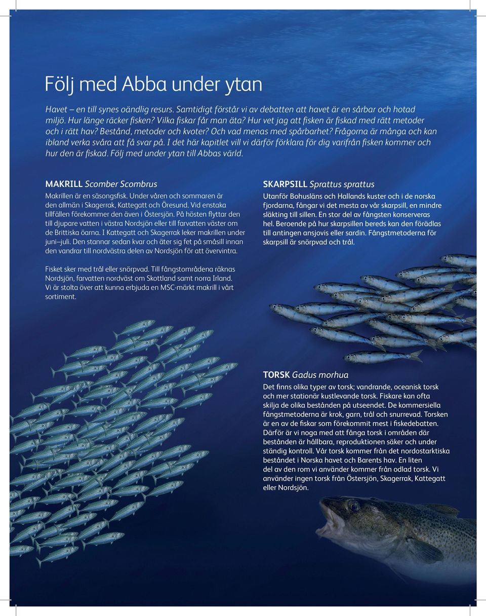 I det här kapitlet vill vi därför förklara för dig varifrån fisken kommer och hur den är fiskad. Följ med under ytan till Abbas värld. MAKRILL Scomber Scombrus Makrillen är en säsongsfisk.