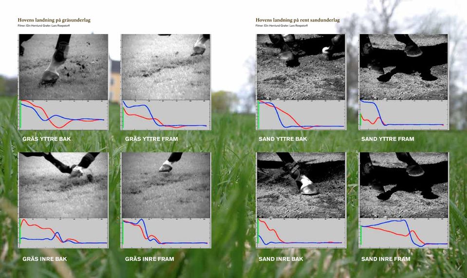 Grafer: Lars Roepstorff GRÄS YTTRE BAK GRÄS YTTRE FRAM SAND YTTRE BAK