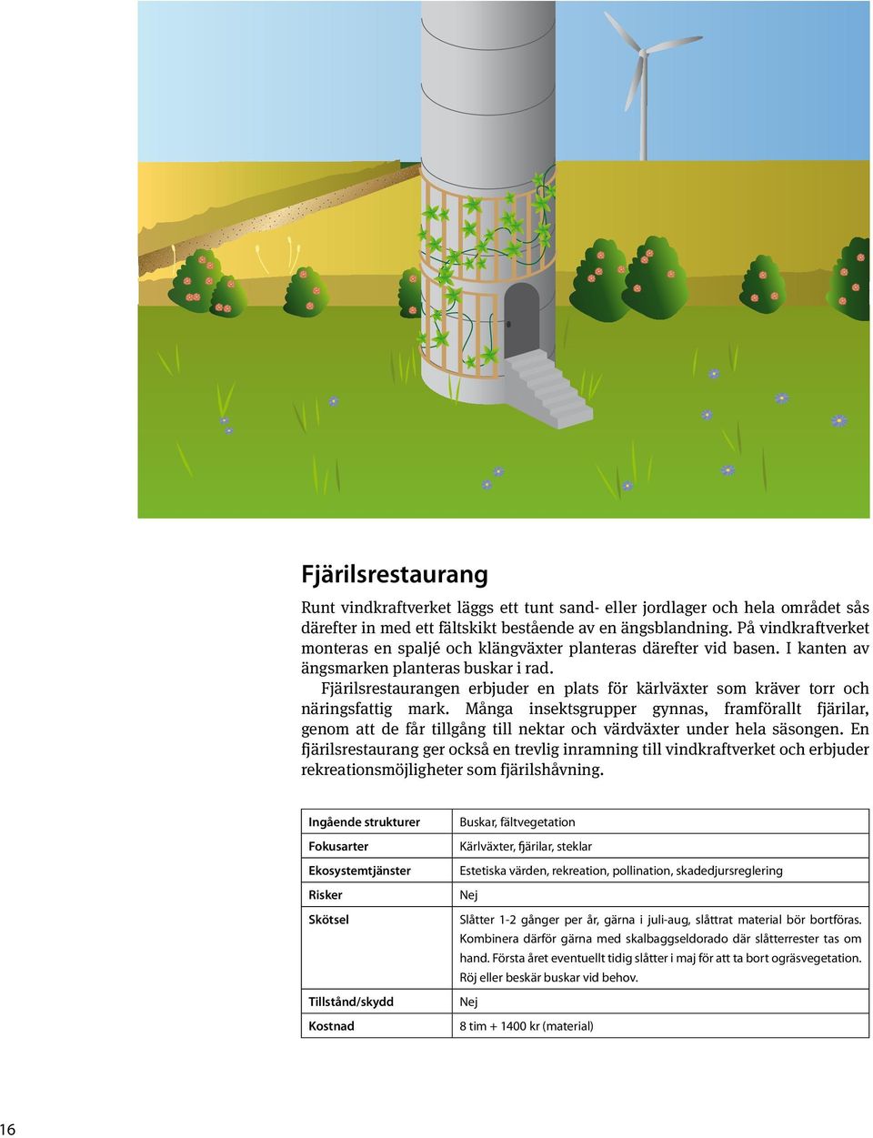 Fjärilsrestaurangen erbjuder en plats för kärlväxter som kräver torr och näringsfattig mark.