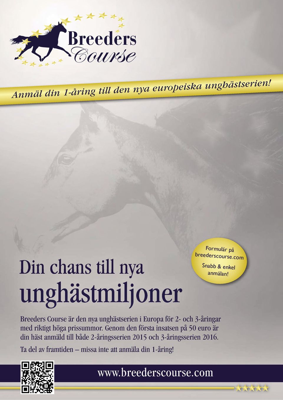 Breeders Course är den nya unghästserien i Europa för 2- och 3-åringar med riktigt höga prissummor.