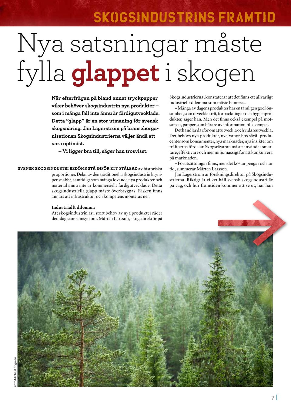 Vi ligger bra till, säger han trosvisst. Svensk skogsindustri Svensk skogsindustri bedöms stå bedöms inför stå inför ett stålbad ett av historiska proportioner.