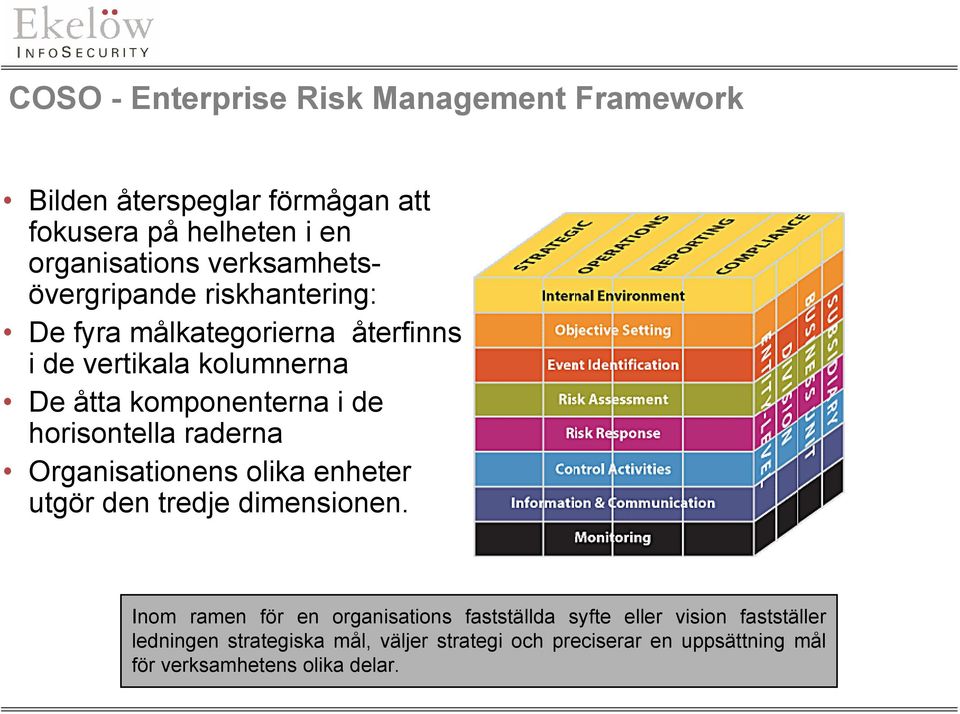 horisontella raderna Organisationens olika enheter utgör den tredje dimensionen.