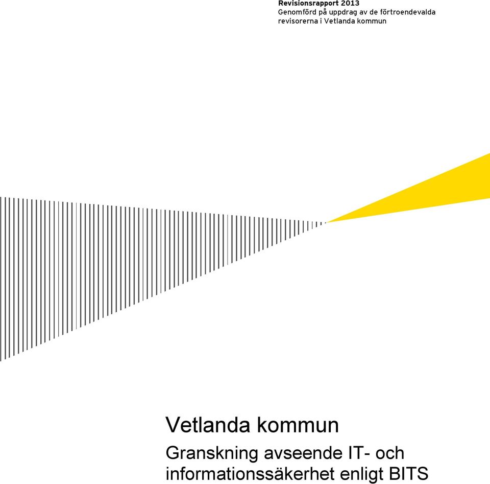 Vetlanda kommun Vetlanda kommun Granskning