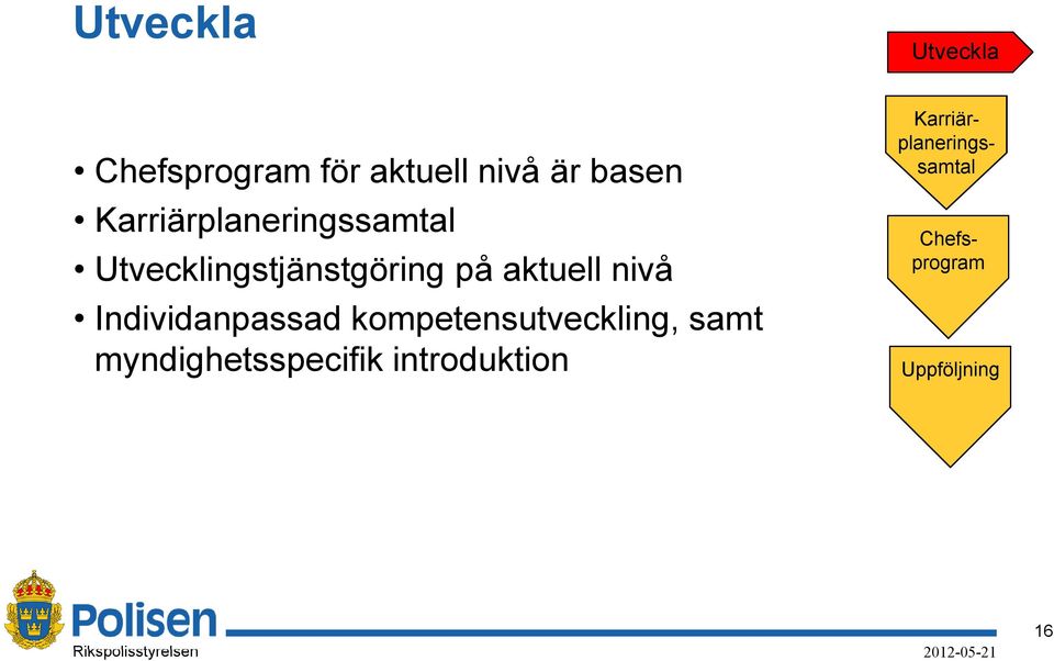 nivå Individanpassad kompetensutveckling, samt