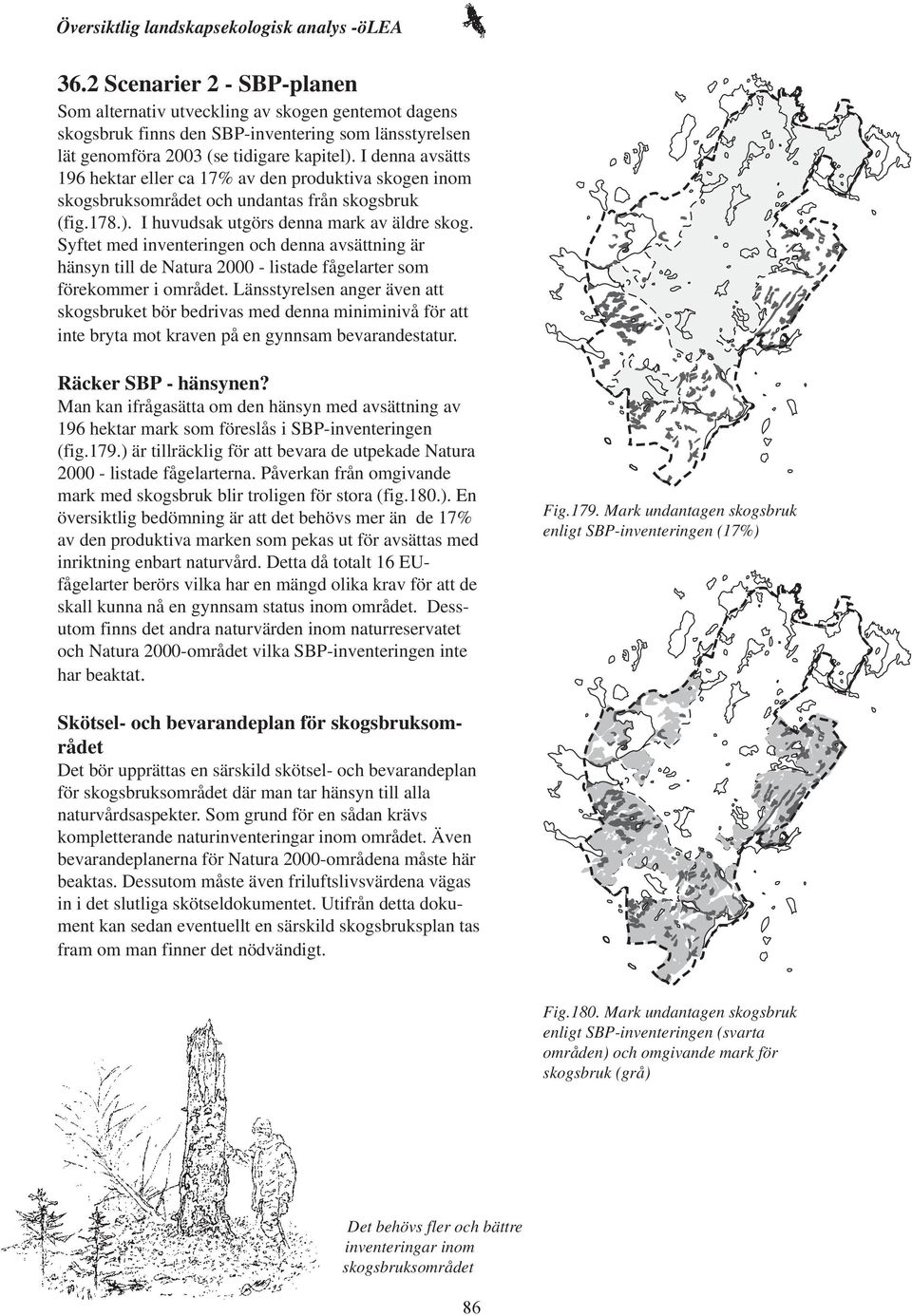 Syftet med inventeringen och denna avsättning är hänsyn till de Natura 2000 - listade fågelarter som förekommer i området.