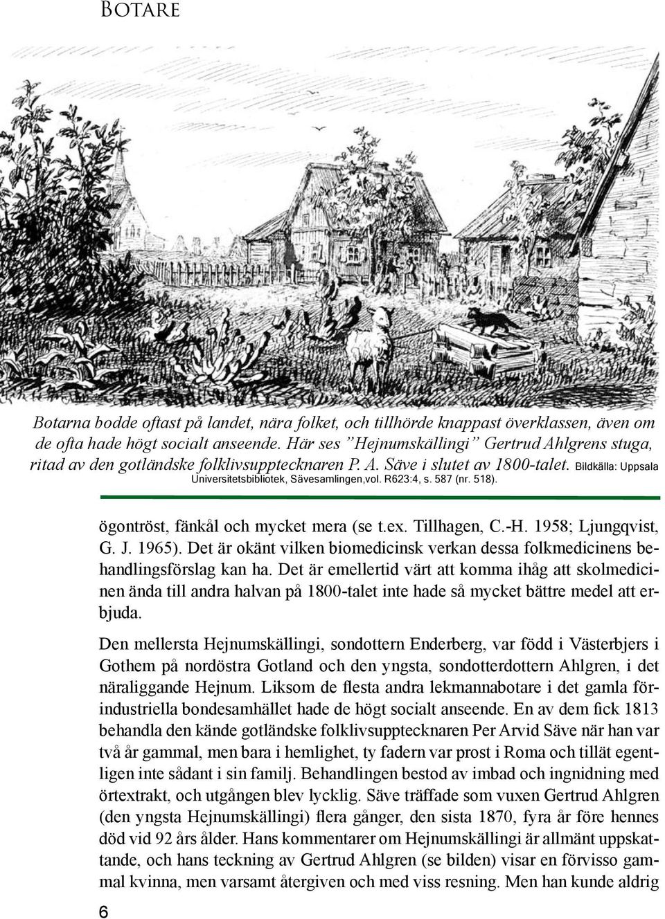 587 (nr. 518). ögontröst, fänkål och mycket mera (se t.ex. Tillhagen, C.-H. 1958; Ljungqvist, G. J. 1965). Det är okänt vilken biomedicinsk verkan dessa folkmedicinens behandlingsförslag kan ha.