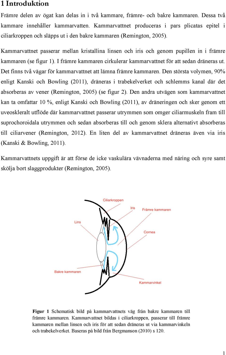 Kammarvattnet passerar mellan kristallina linsen och iris och genom pupillen in i främre kammaren (se figur 1). I främre kammaren cirkulerar kammarvattnet för att sedan dräneras ut.