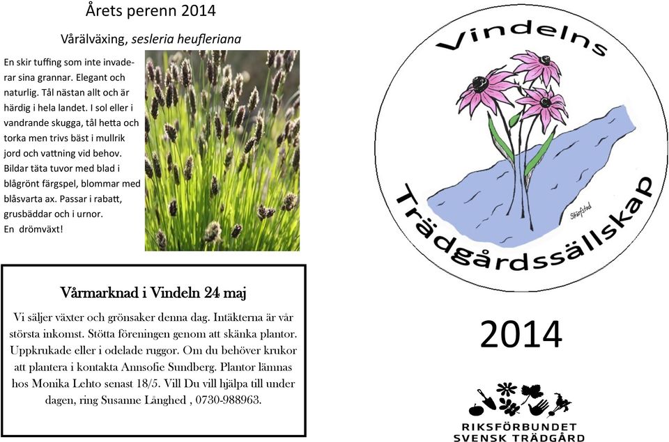 Passar i rabatt, grusbäddar och i urnor. En drömväxt! Vårmarknad i Vindeln 24 maj Vi säljer växter och grönsaker denna dag. Intäkterna är vår största inkomst.