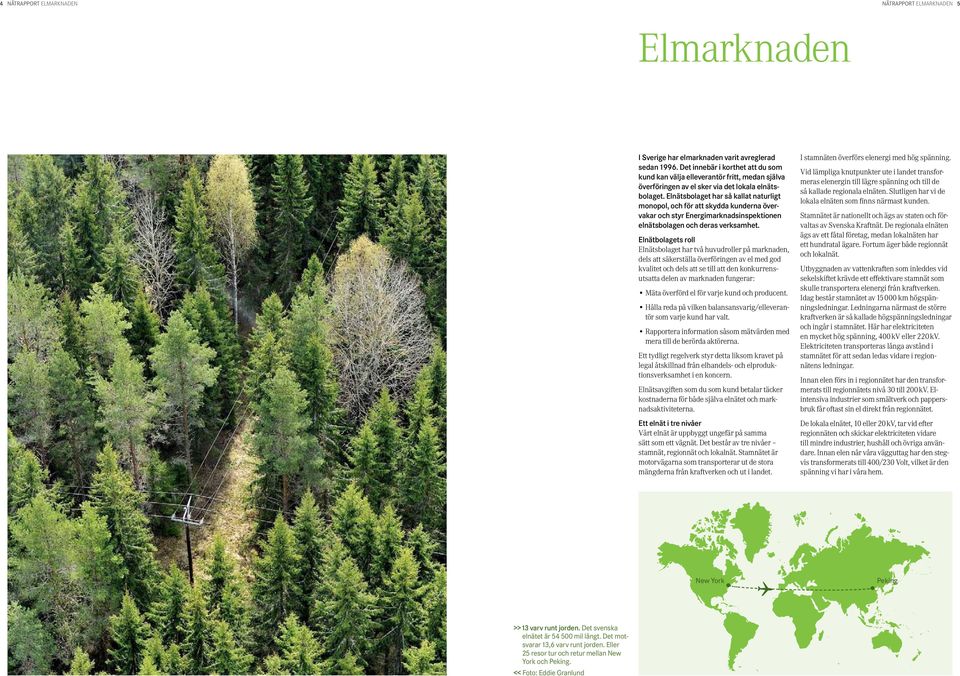 Elnätsbolaget har så kallat naturligt monopol, och för att skydda kunderna övervakar och styr Energimarknadsinspektionen elnätsbolagen och deras verksamhet.