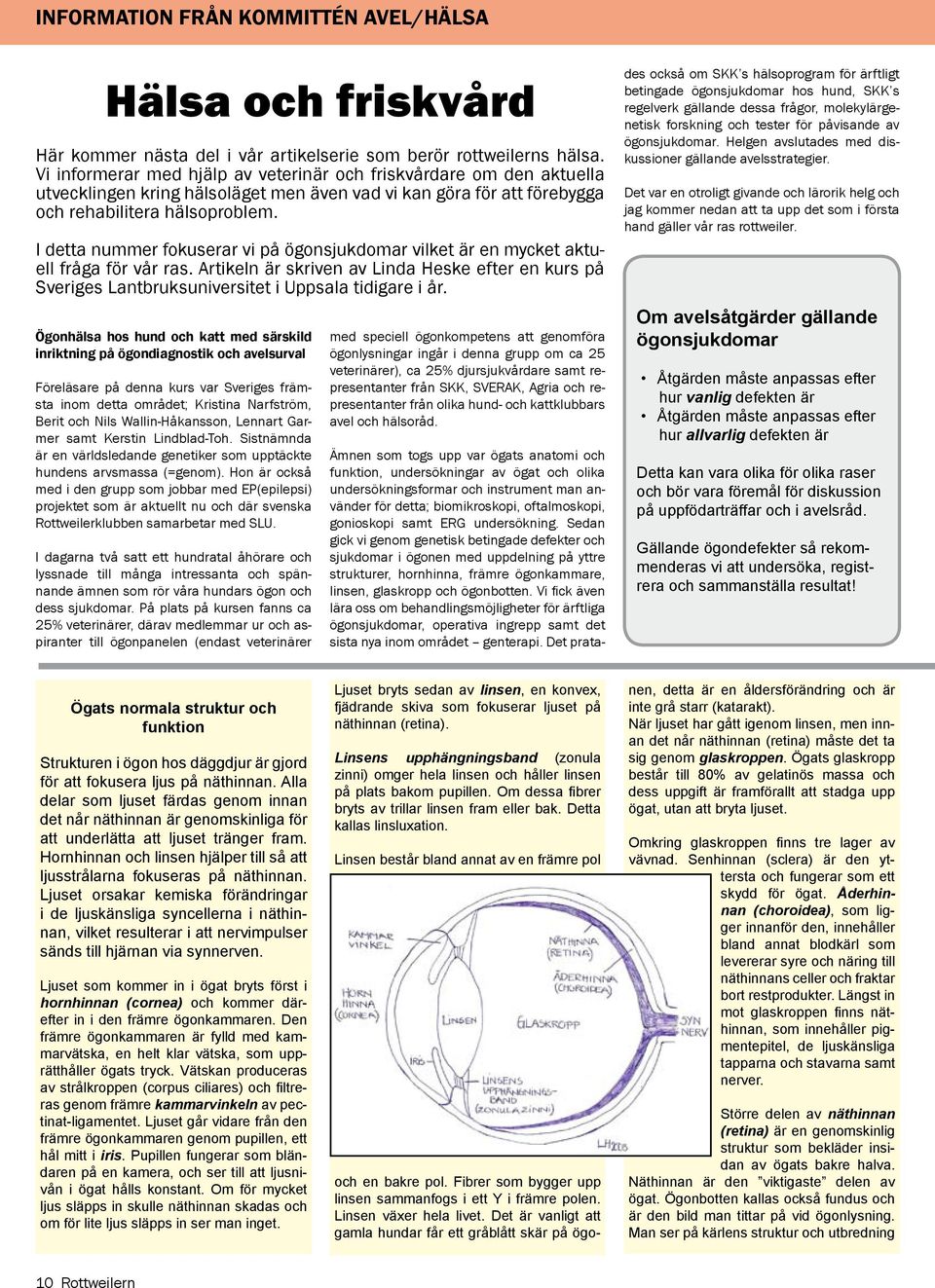 I detta nummer fokuserar vi på ögonsjukdomar vilket är en mycket aktuell fråga för vår ras. Artikeln är skriven av Linda Heske efter en kurs på Sveriges Lantbruksuniversitet i Uppsala tidigare i år.