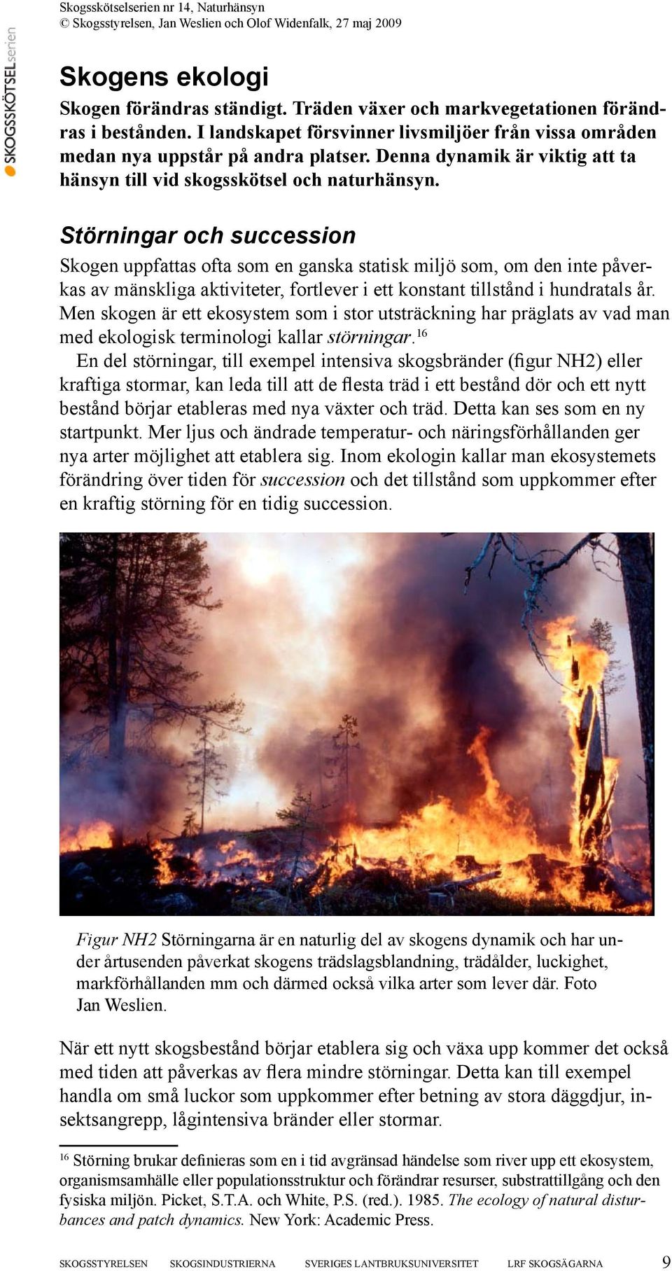 Störningar och succession Skogen uppfattas ofta som en ganska statisk miljö som, om den inte påverkas av mänskliga aktiviteter, fortlever i ett konstant tillstånd i hundratals år.