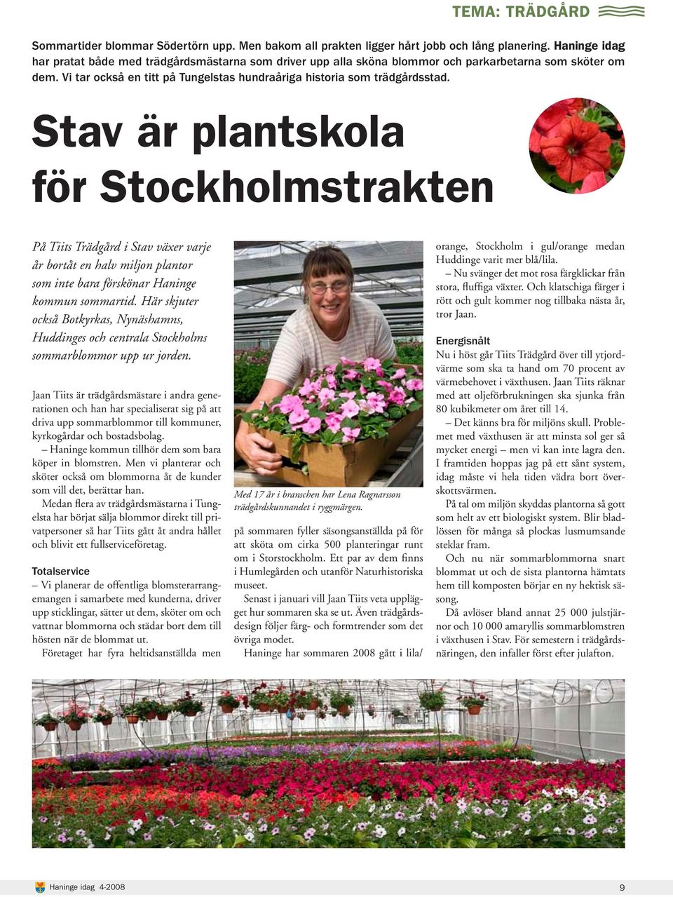 Stav är plantskola för Stockholmstrakten På Tiits Trädgård i Stav växer varje år bortåt en halv miljon plantor som inte bara förskönar Haninge kommun sommartid.