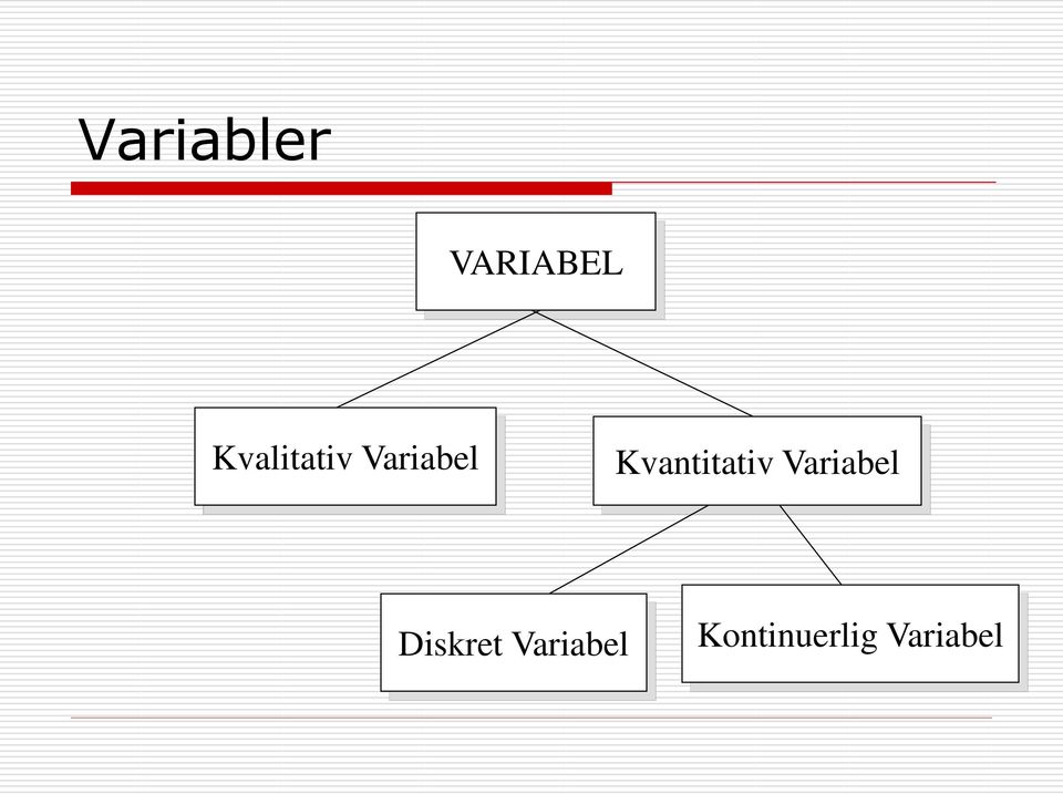 Kvantitativ Variabel