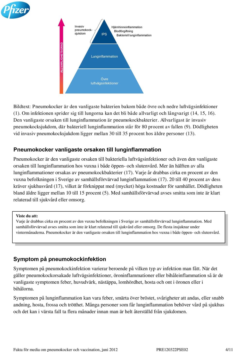 Den vanligaste orsaken till lunginflammation är pneumokockbakterier. Allvarligast är invasiv pneumokocksjukdom, där bakteriell lunginflammation står för 80 procent av fallen (9).