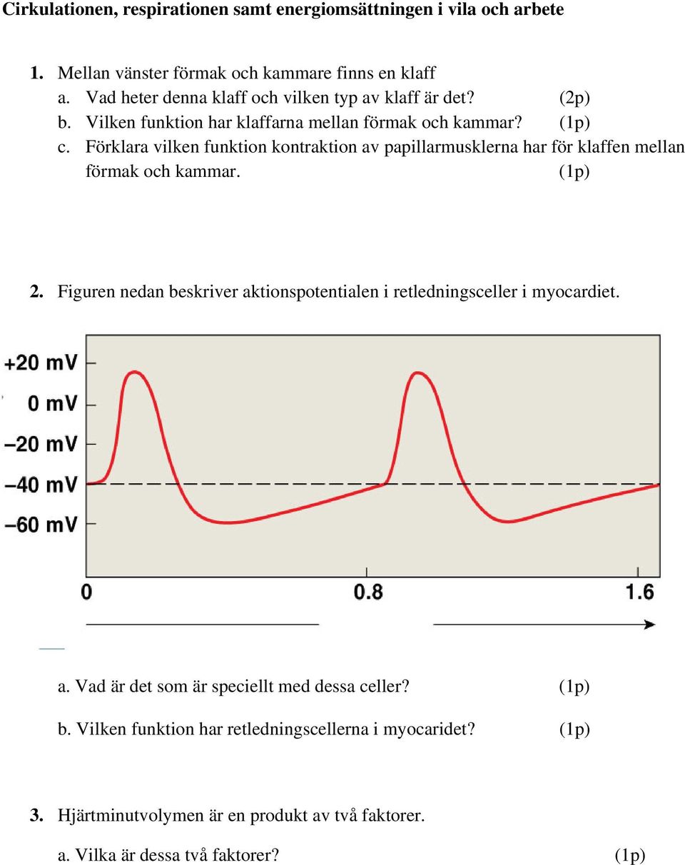 Förklara vilken funktion kontraktion av papillarmusklerna har för klaffen mellan förmak och kammar. (1p) 2.