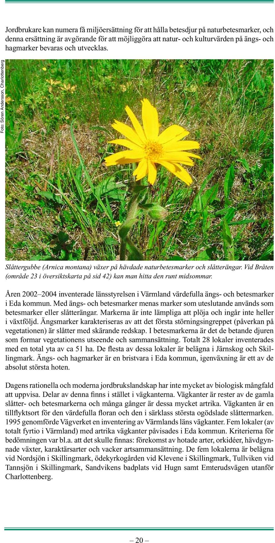 Vid Bråten (område 23 i översiktskarta på sid 42) kan man hitta den runt midsommar. Åren 2002 2004 inventerade länsstyrelsen i Värmland värdefulla ängs- och betesmarker i Eda kommun.