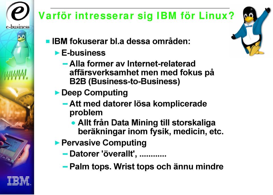 B2B (Business-to-Business) Deep Computing Att med datorer lösa komplicerade problem Allt från