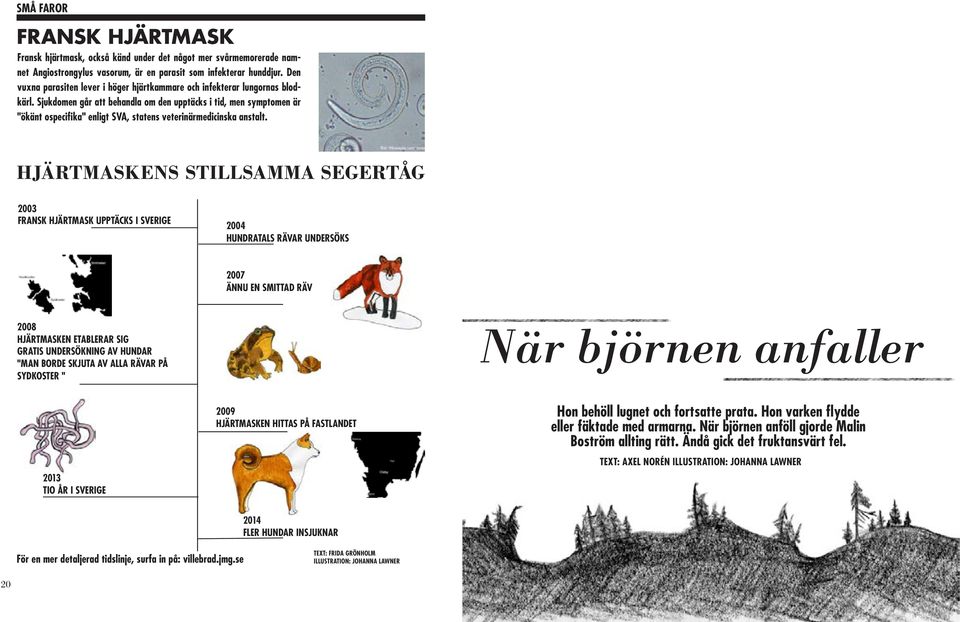 Sjukdomen går att behandla om den upptäcks i tid, men symptomen är "ökänt ospecifika" enligt SVA, statens veterinärmedicinska anstalt.