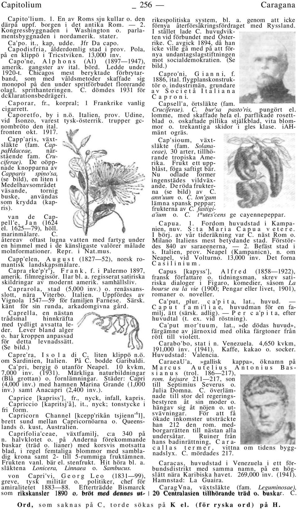 Chicagos mest beryktade förbrytarband, som med våldsmetoder skaffade sig monopol på den under spritförbudet florerande olagl. sprithanteringen. C. dömdes 1931 för dcklarationsbedrägeri. Caporar, fr.