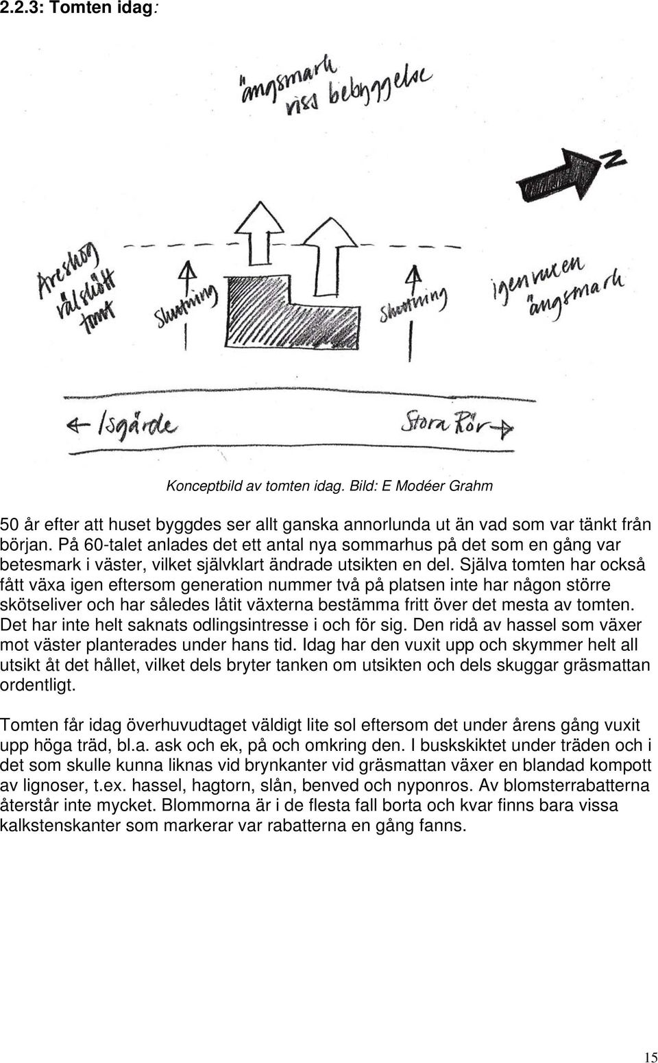 Själva tomten har också fått växa igen eftersom generation nummer två på platsen inte har någon större skötseliver och har således låtit växterna bestämma fritt över det mesta av tomten.