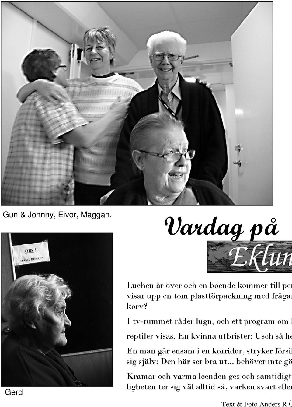 I tv-rummet råder lugn, och ett program om k reptiler visas.