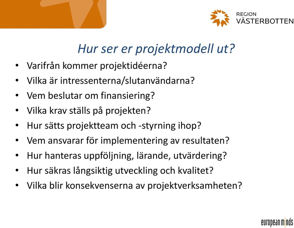 Vilka krav ställs på projekten? Hur sätts projektteam och -styrning ihop?