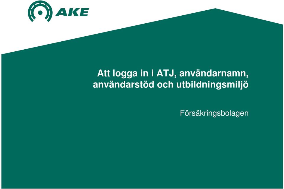 användarstöd och