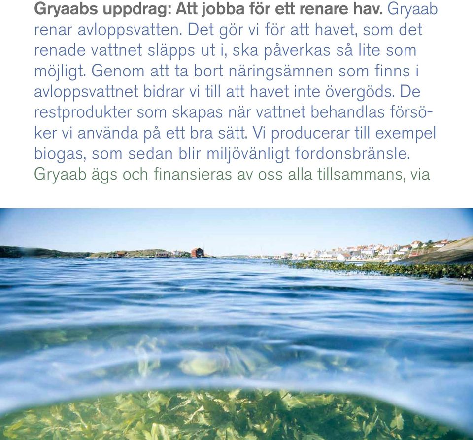 Genom att ta bort näringsämnen som finns i avloppsvattnet bidrar vi till att havet inte övergöds.