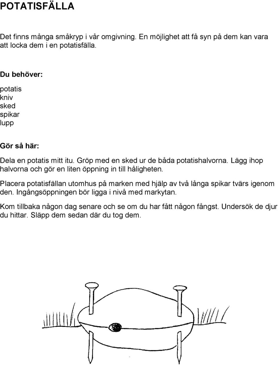 Lägg ihop halvorna och gör en liten öppning in till håligheten.