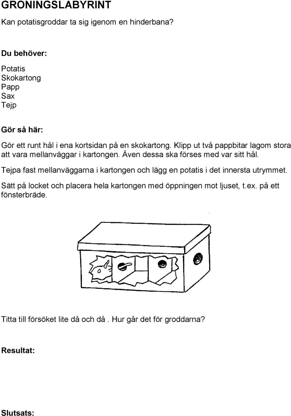 Klipp ut två pappbitar lagom stora att vara mellanväggar i kartongen. Även dessa ska förses med var sitt hål.