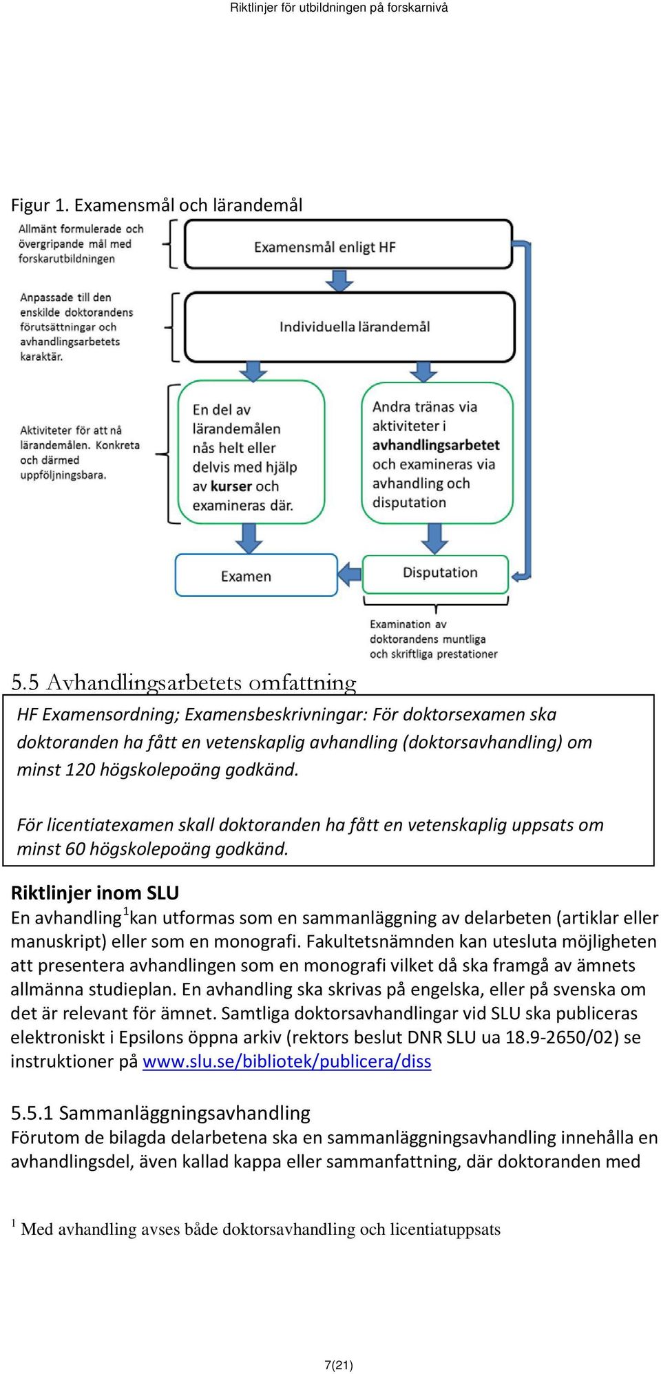 För licentiatexamen skall doktoranden ha fått en vetenskaplig uppsats om minst 60 högskolepoäng godkänd.