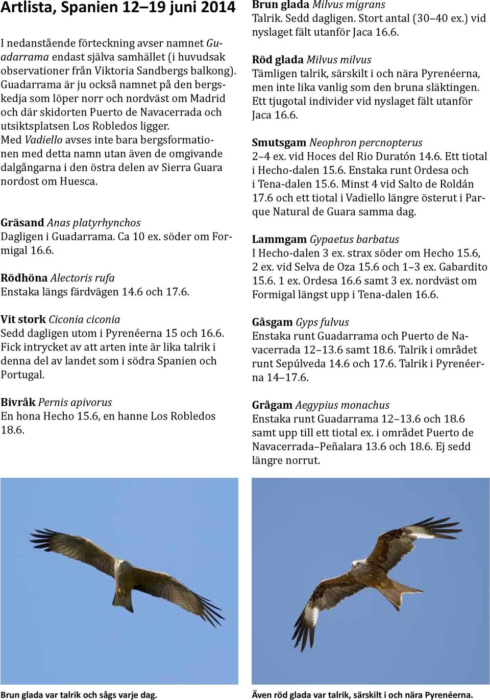 Med Vadiello avses inte bara bergsformationen med detta namn utan även de omgivande dalgångarna i den östra delen av Sierra Guara nordost om Huesca. Gräsand Anas platyrhynchos Dagligen i Guadarrama.