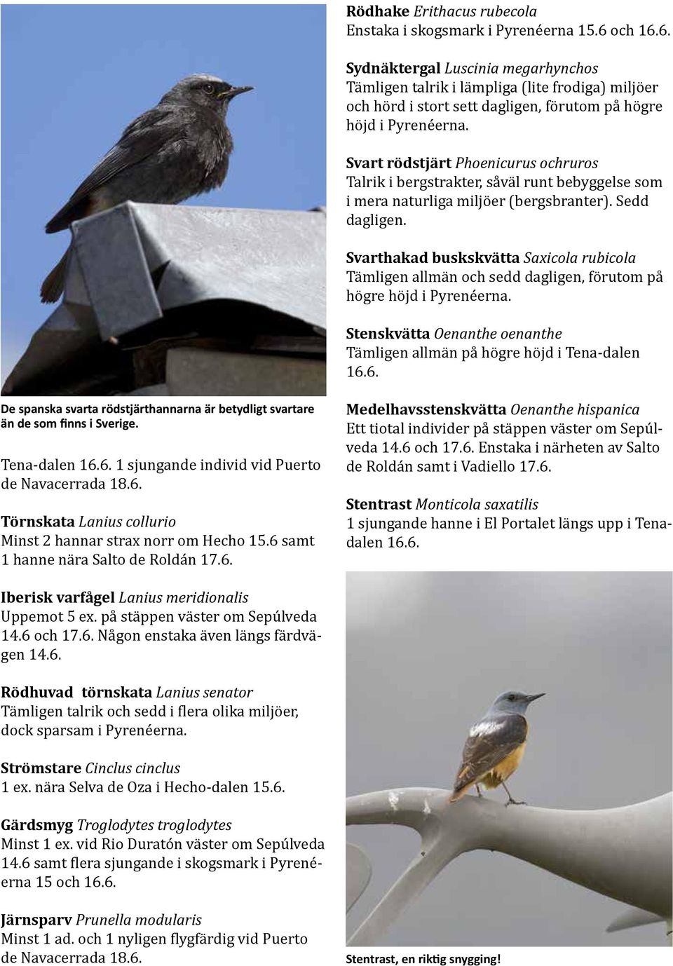 Svart rödstjärt Phoenicurus ochruros Talrik i bergstrakter, såväl runt bebyggelse som i mera naturliga miljöer (bergsbranter). Sedd dagligen.