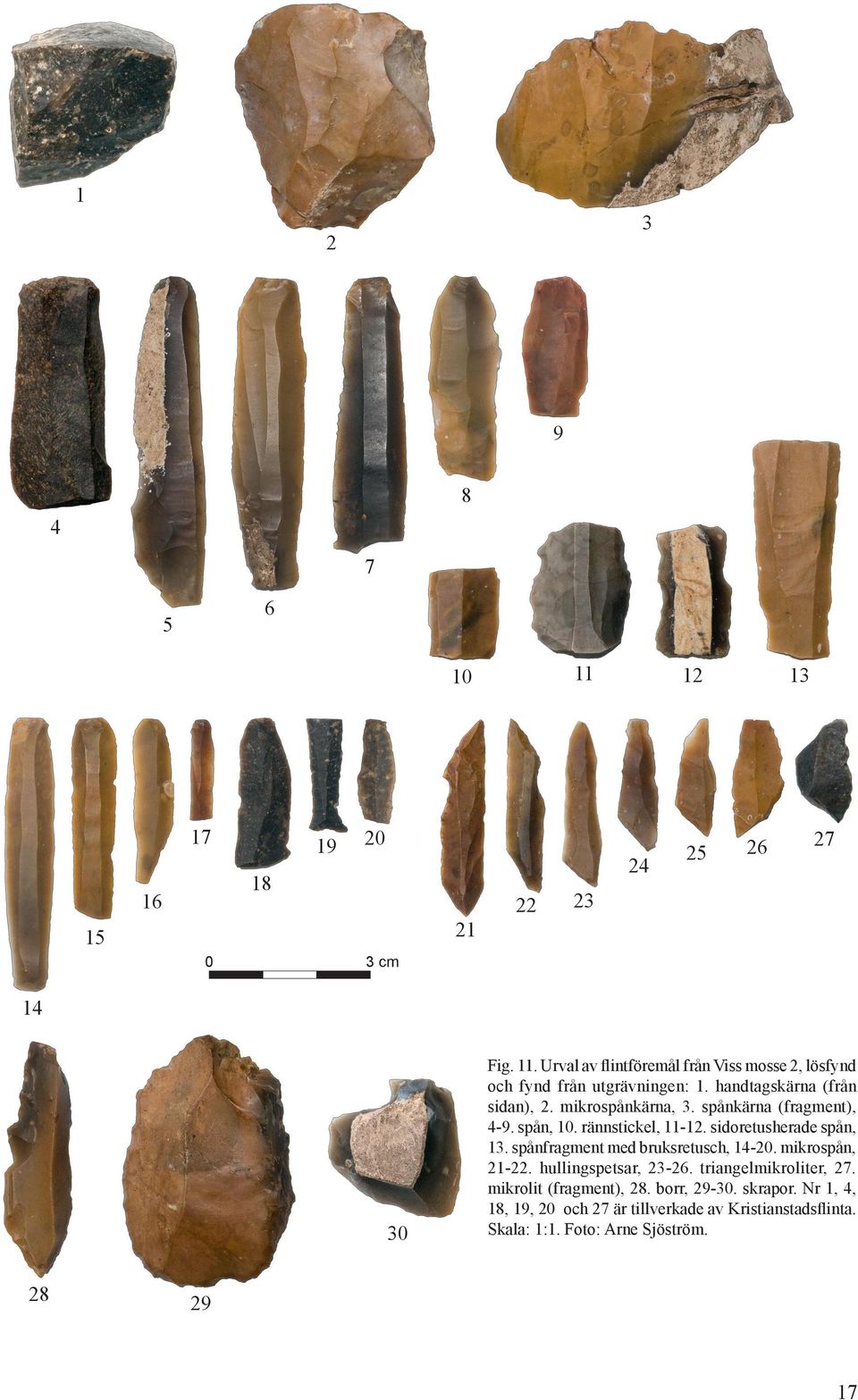 spånfragment med bruksretusch, 14-20. mikrospån, 21-22. hullingspetsar, 23-26. triangelmikroliter, 27. mikrolit (fragment), 28. borr, 29-30.