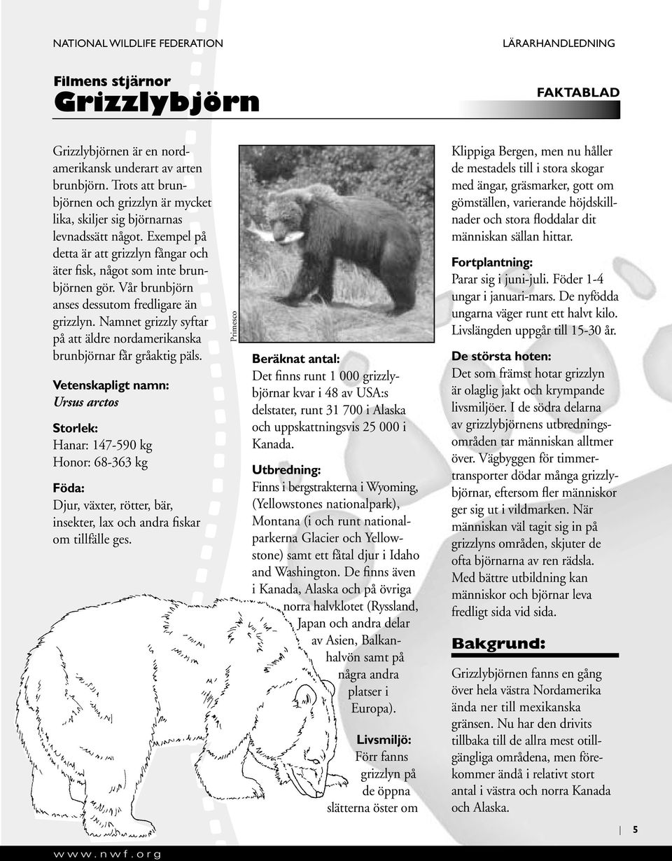 Namnet grizzly syftar på att äldre nordamerikanska brunbjörnar får gråaktig päls.