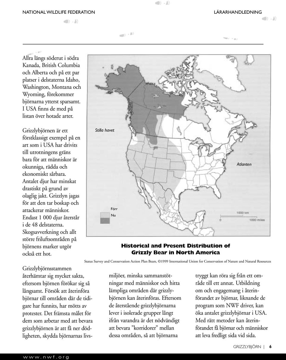 Grizzlybjörnen är ett förstklassigt exempel på en art som i USA har drivits till utrotningens gräns bara för att människor är okunniga, rädda och ekonomiskt sårbara.