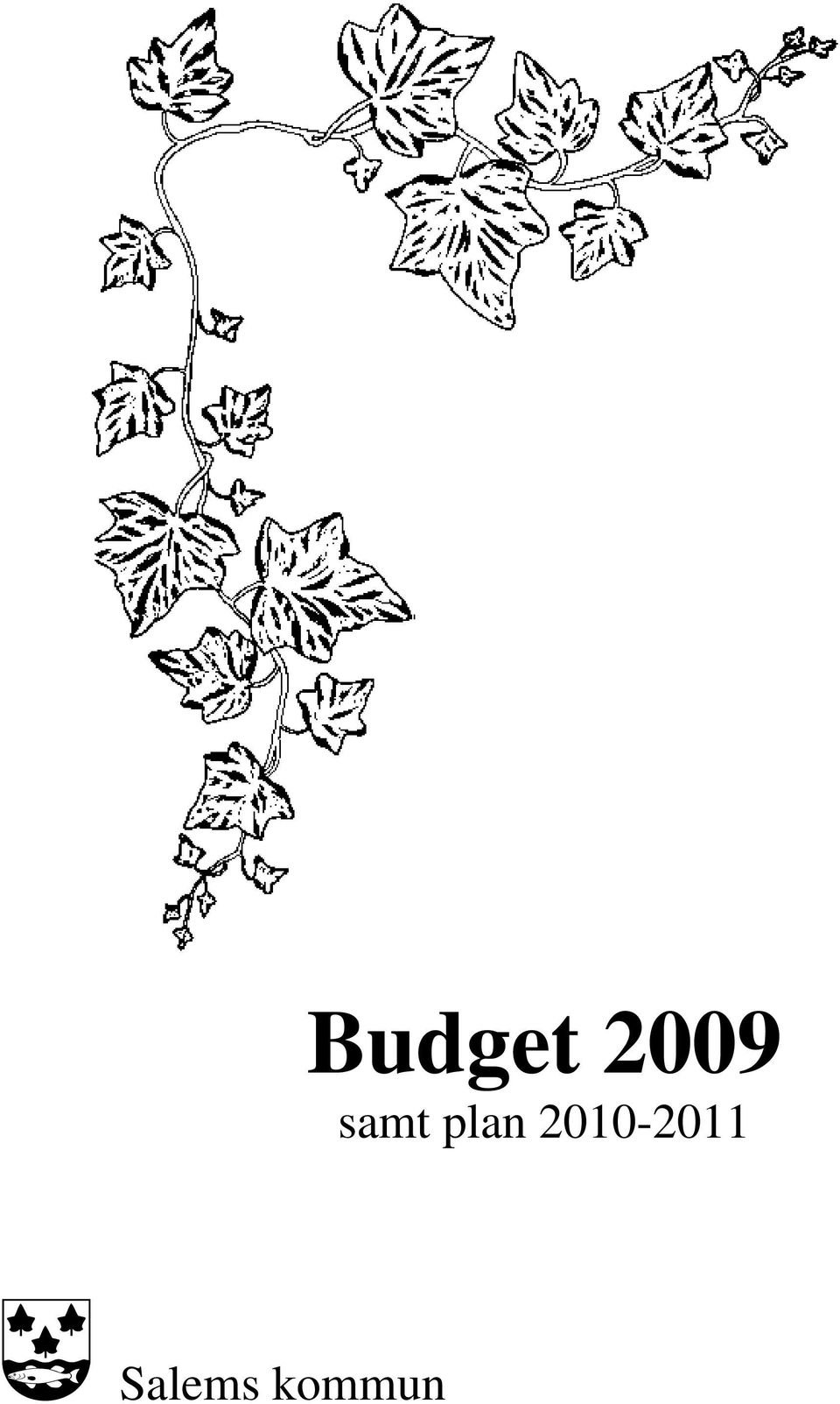 Budget 2009