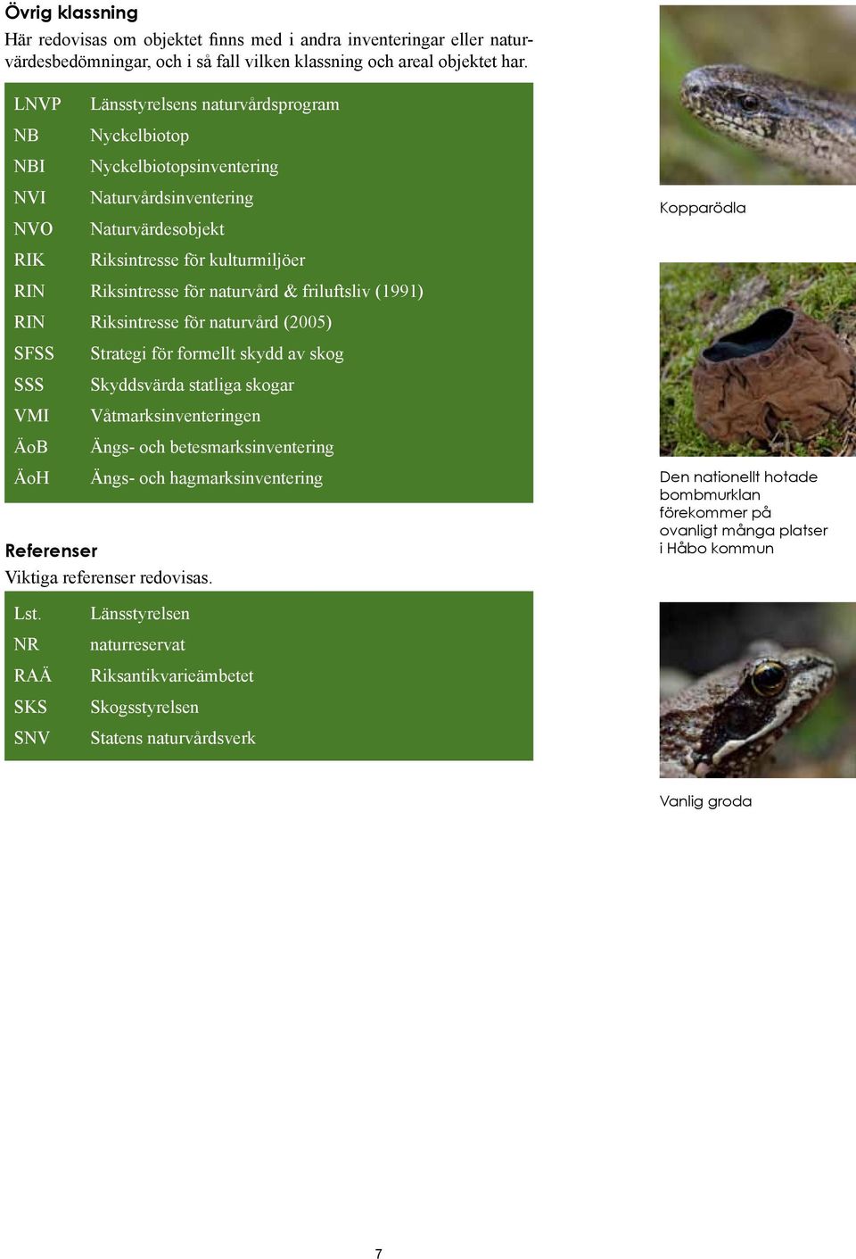 naturvård & friluftsliv (1991) RIN Riksintresse för naturvård (2005) SFSS SSS VMI ÄoB Strategi för formellt skydd av skog Skyddsvärda statliga skogar Våtmarksinventeringen Ängs- och