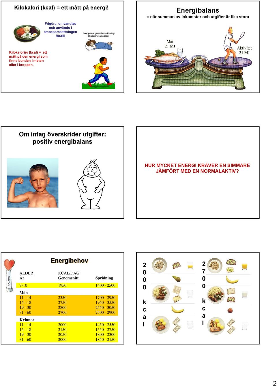 (kcal) = ett mått påp den energi som finns bunden i maten eller i kroppen.