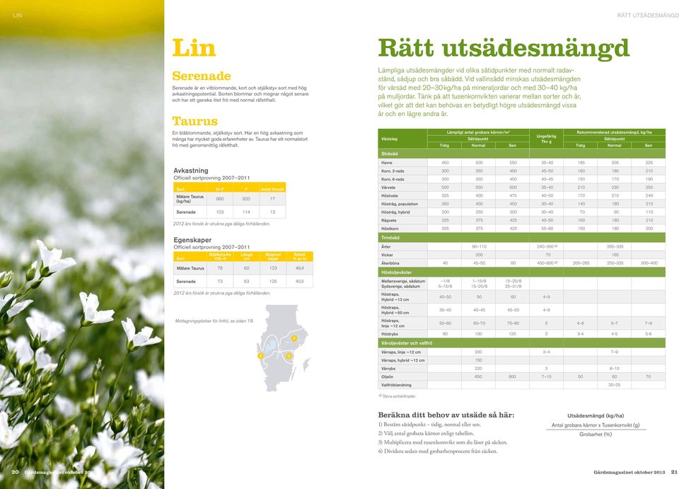 Taurus har ett normalstort frö med genomsnittlig råfetthalt.