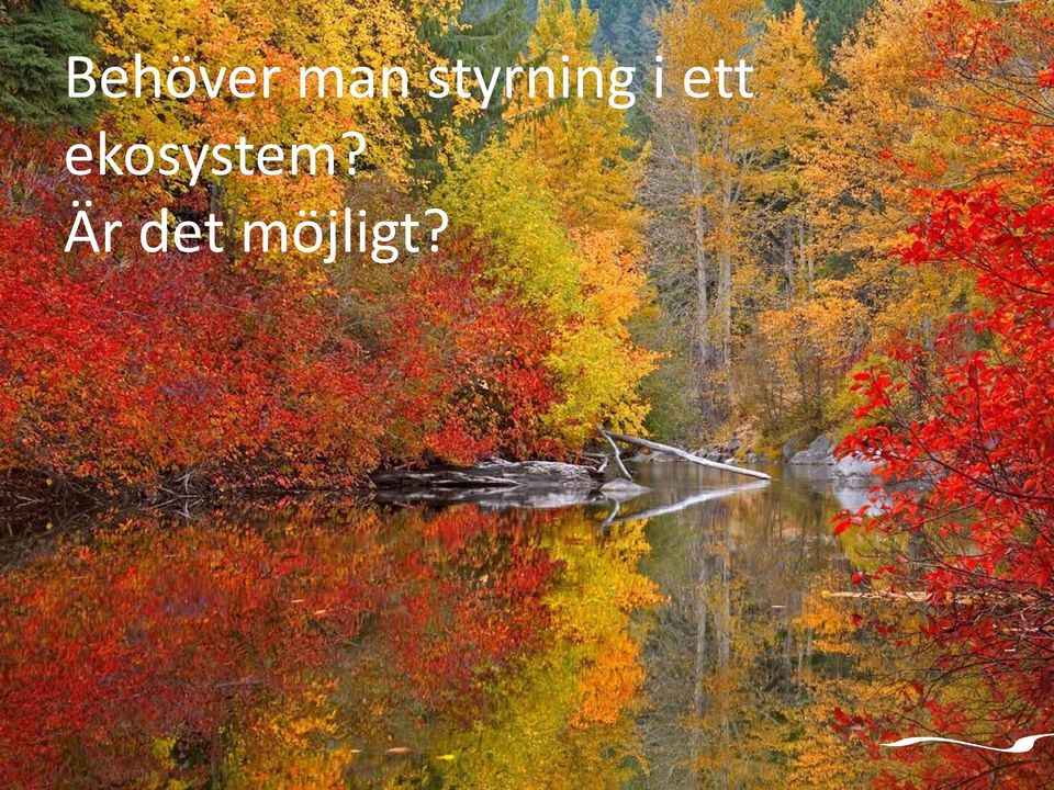 ett ekosystem?