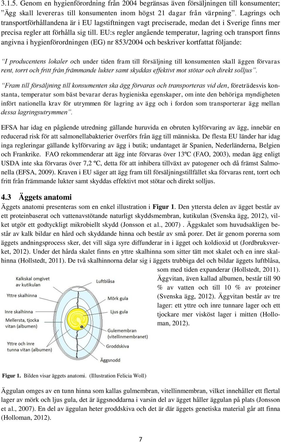 EU:s regler angående temperatur, lagring och transport finns angivna i hygienförordningen (EG) nr 853/2004 och beskriver kortfattat följande: I producentens lokaler och under tiden fram till