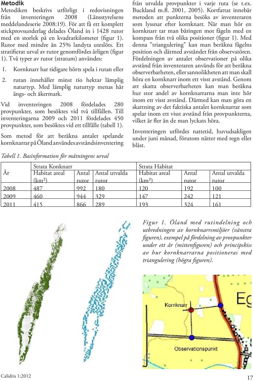 Ett stratifierat urval av rutor genomfördes årligen (figur 1). Två typer av rutor (stratum) användes: 1. Kornknarr har tidigare hörts spela i rutan eller 2.